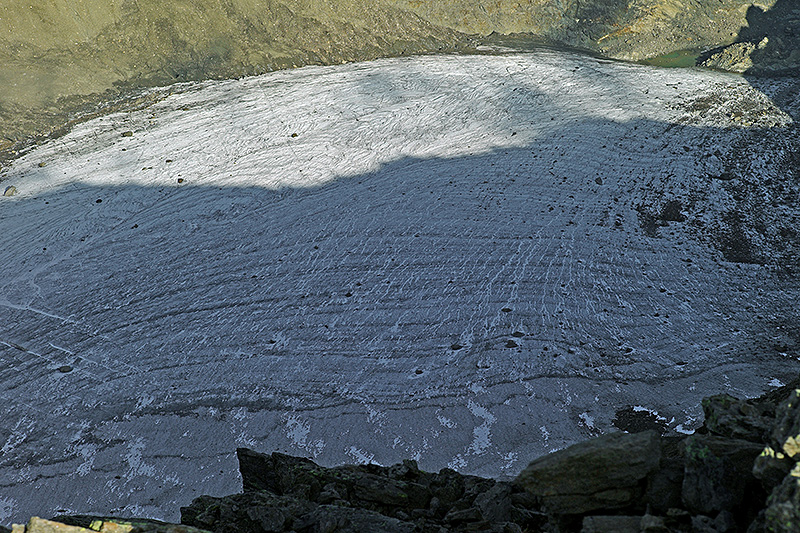 L1009238